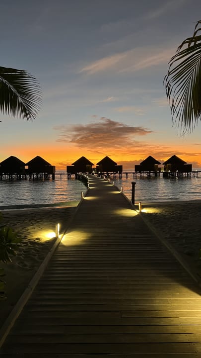 Außenansicht Veligandu Maldives Resort Island