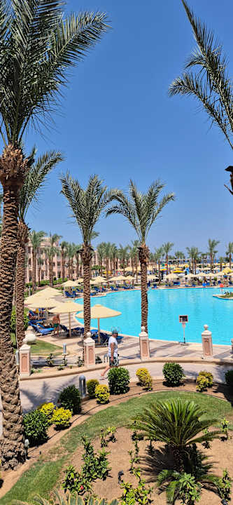 Pool Pickalbatros Palace Resort