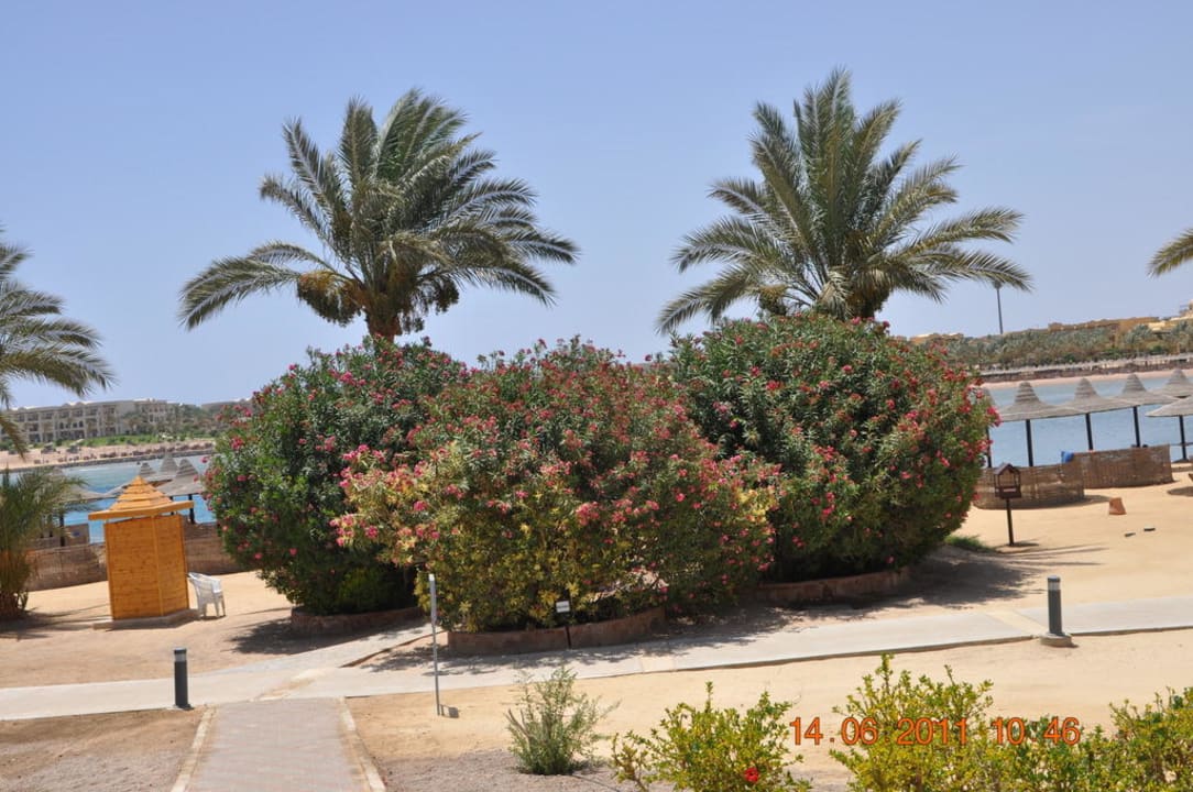 Gartenanlage Steigenberger Coraya Beach - Adults only