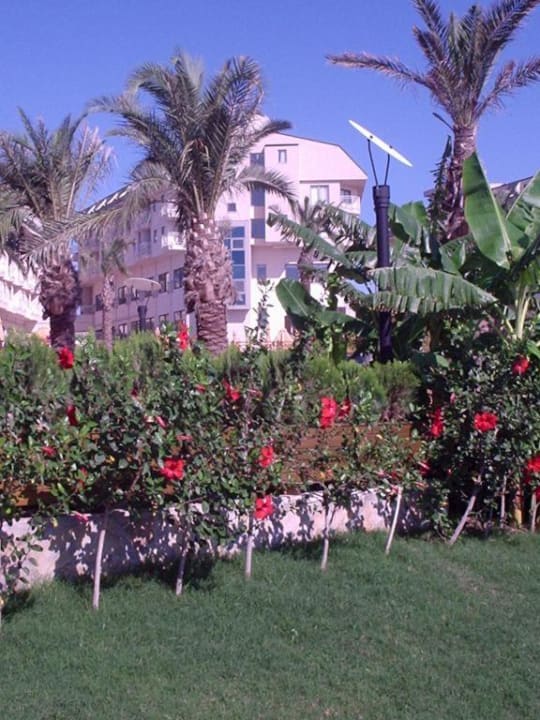 Blick aufs Hotel (von der Rückseite) Hotel Novum Garden Side