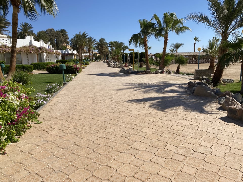 Gartenanlage Shams Safaga Resort