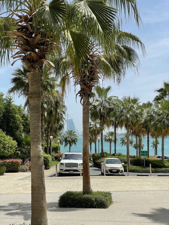 Garten Rixos The Palm Hotel & Suites