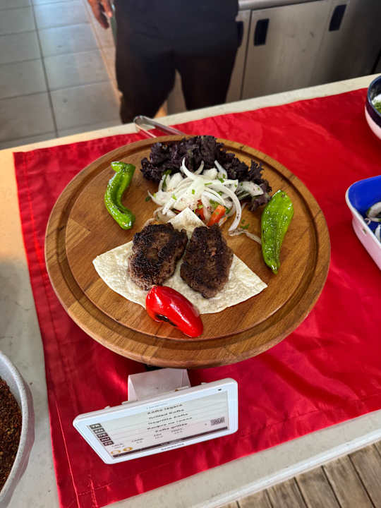 Gastro Seashell Vega