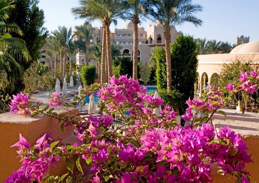 Garden view Makadi Palace
