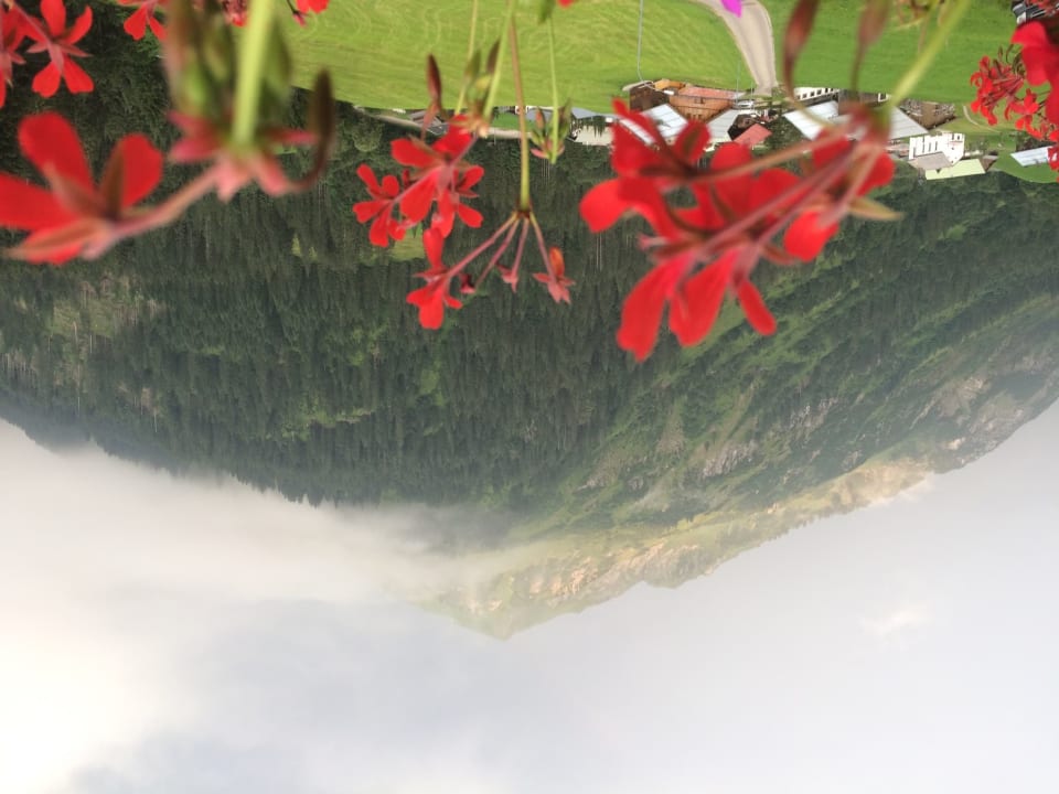 Ausblick Pension Starzelhaus