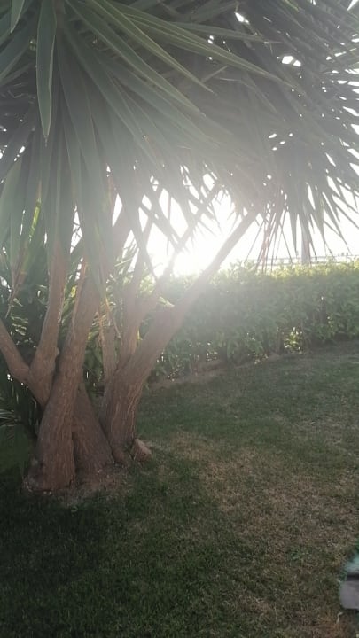 Gartenanlage Seaden Quality Resort & Spa