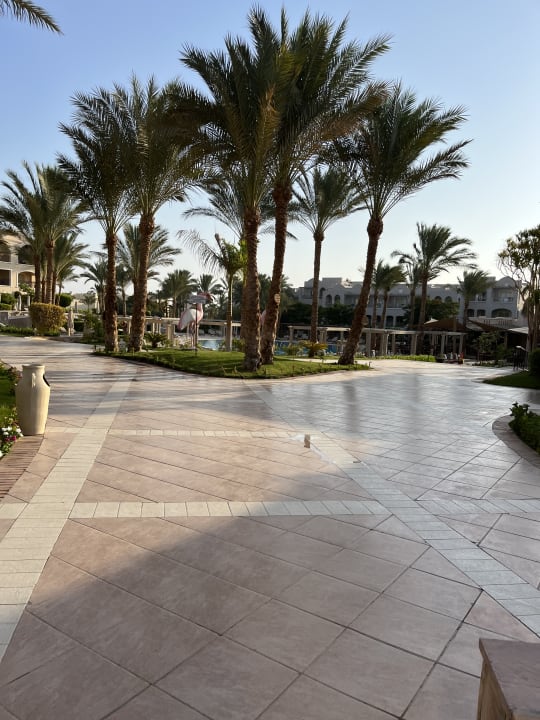 Gartenanlage Hotel JAZ Makadi Star & Spa
