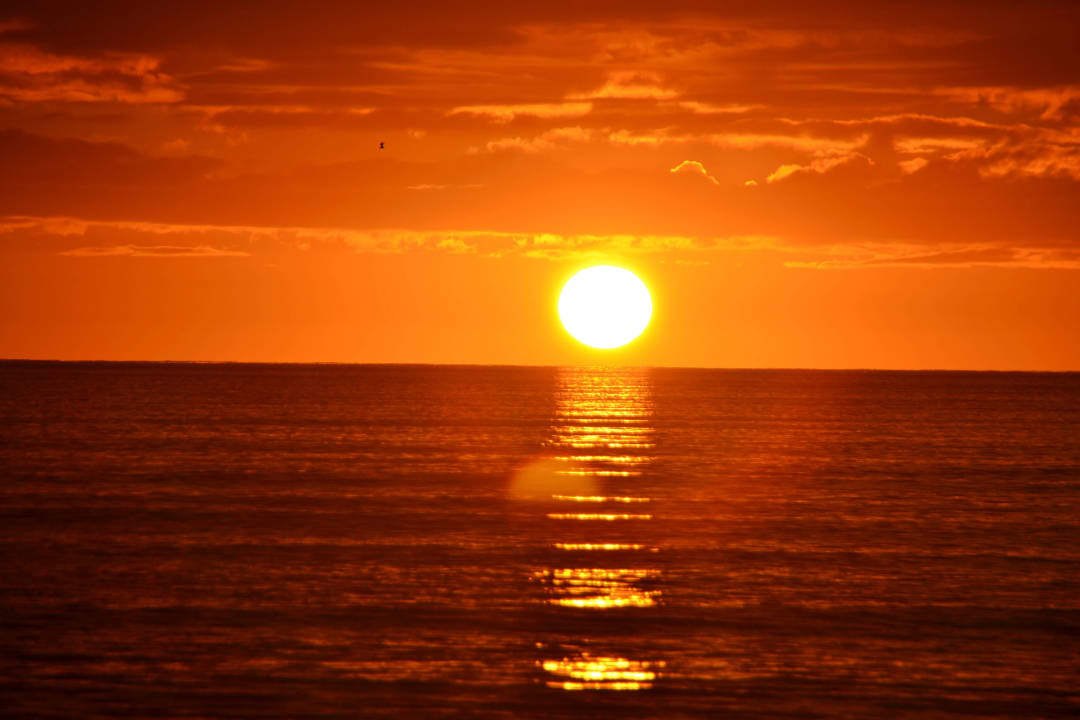 Sonnenaufgang Iberostar Waves Gaviotas Park