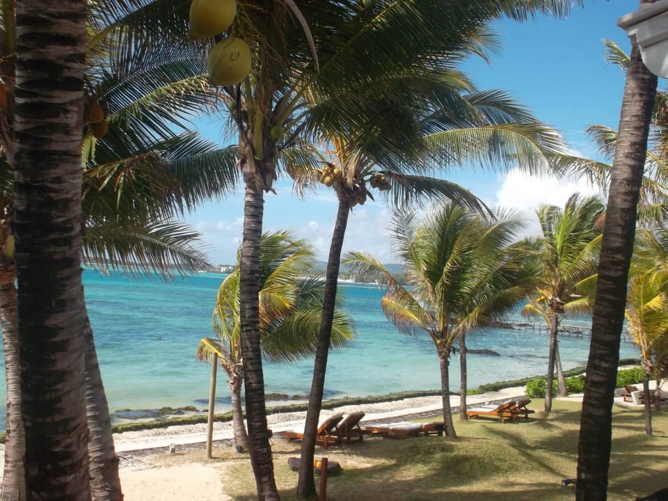 Ausblick vom Zimmer / Balkon Tropical Attitude - Adults only