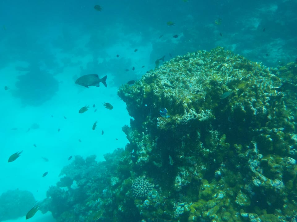 Sport & Freizeit Summer Island Maldives