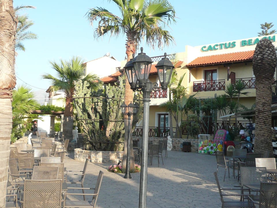 Front hotelu Cactus Beach