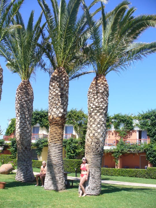 Garten Anissa Beach & Village