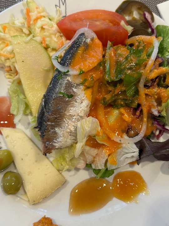 Gastro Tabaiba Princess
