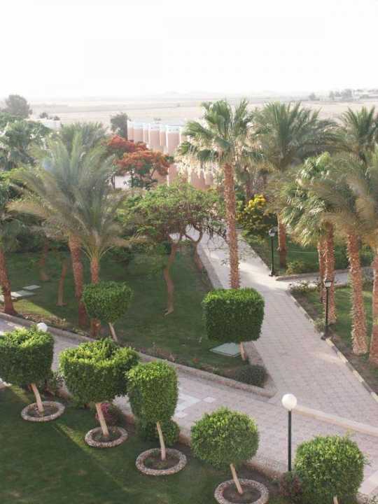 Gartenanlage bei den Bungalows Beach Albatros Resort