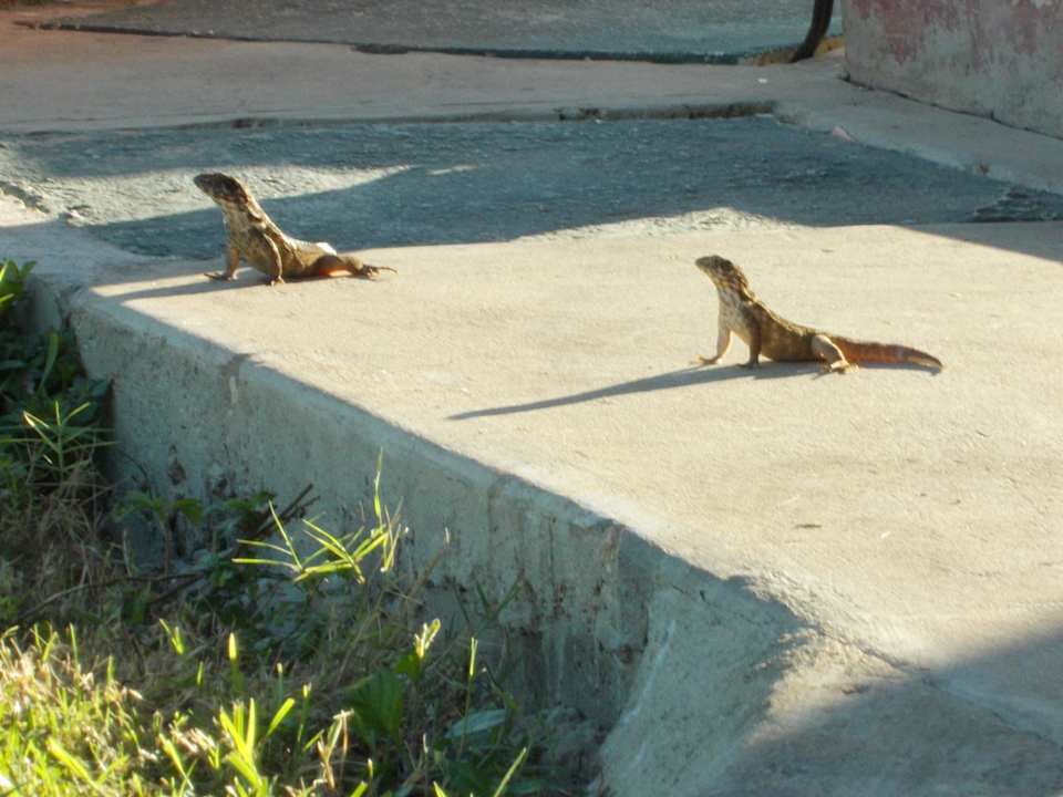 Echsen Brisas Guardalavaca Hotel & Villas