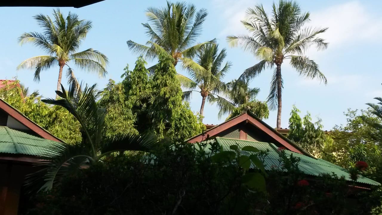 Schöner Garten Hotel Eden Bungalows