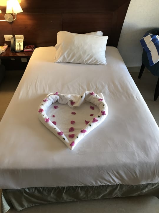 Zimmer Stella Garden Resort & Spa, Makadi Bay