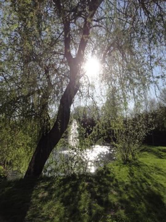 Teich Gesundheitsresort Lebensquell Bad Zell