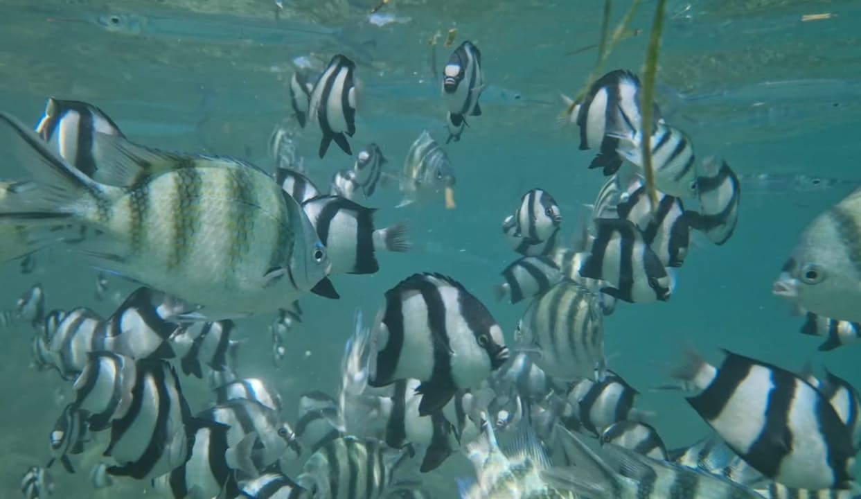 Sport & Freizeit Imperial Shams Abu Soma