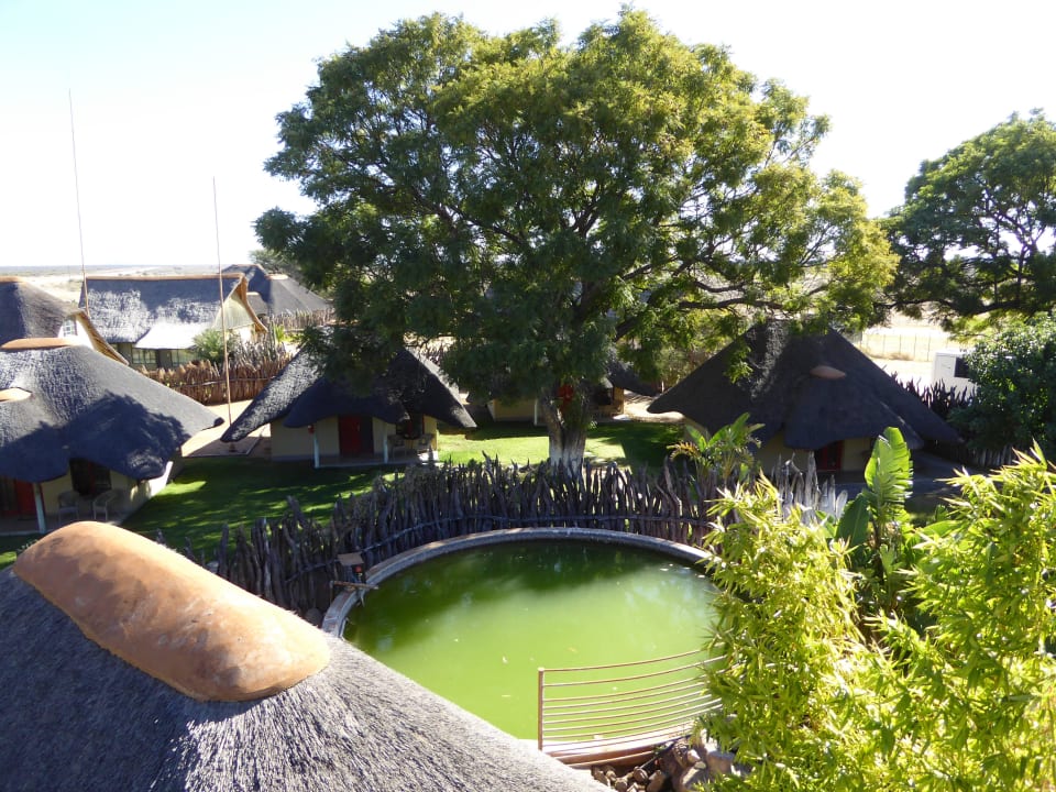 Blick von Aussichtsturm Hotel Frans Indongo Lodge