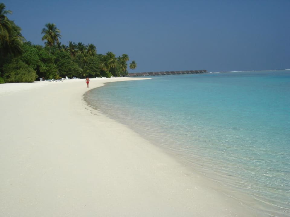 Strand beim 200er Bereich - der Schönste! Meeru Maldives Resort Island