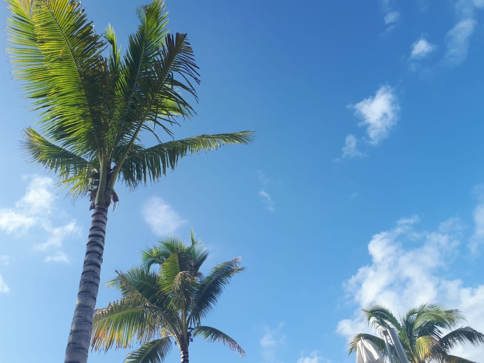 Sonstiges TRS Coral Hotel - Adults Only