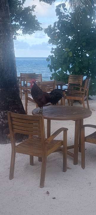 Gartenanlage Equator Village Resort