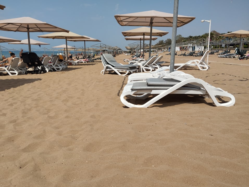 Strand Kamelya Aishen Club