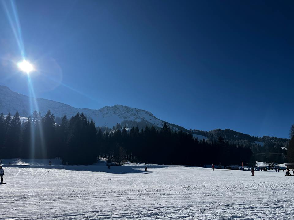 Sport & Freizeit Urheim Rose