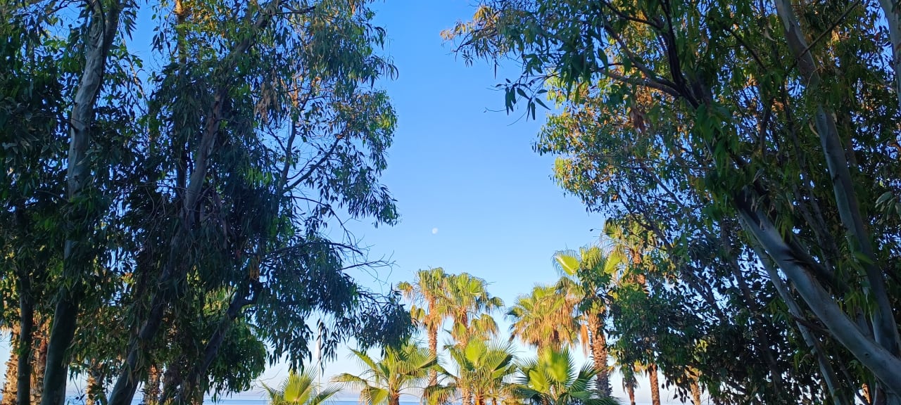 Gartenanlage Monachus Family Resort Sorgun