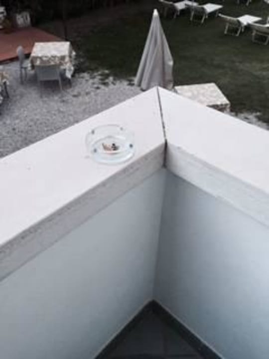 Zimmer Hotel Saviola