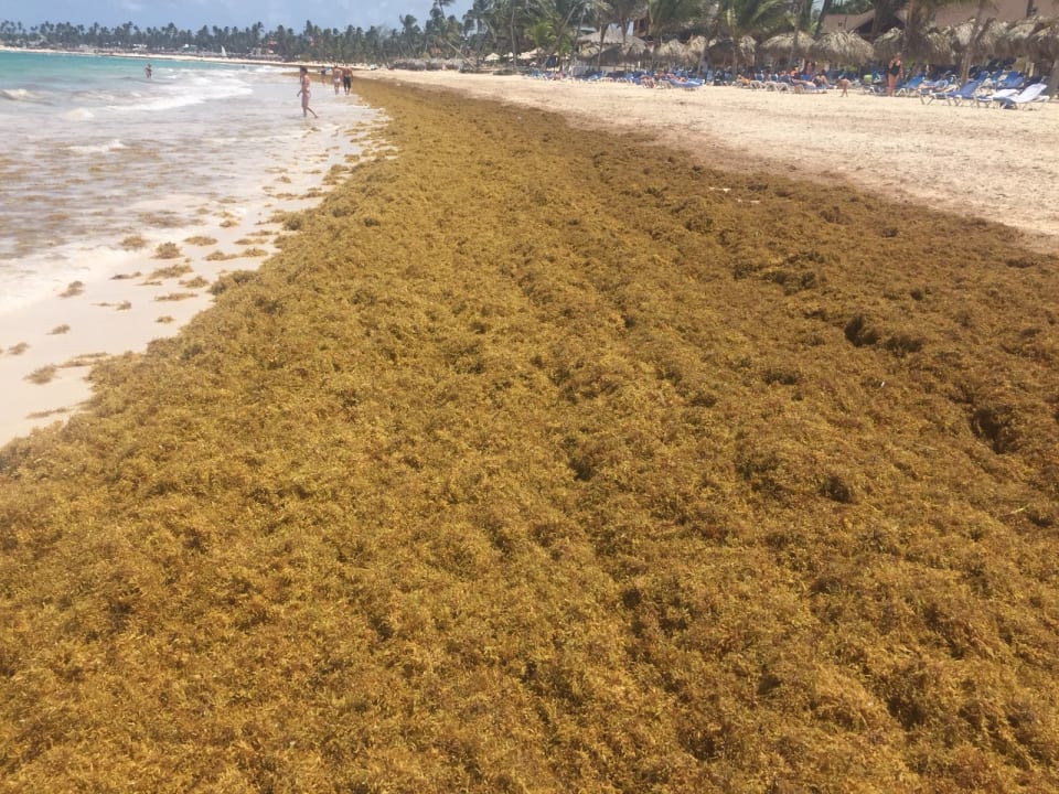 Strand Vik Hotel Arena Blanca & Cayena Beach