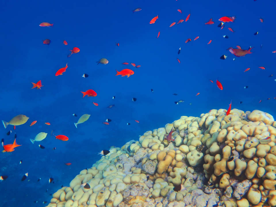 Strand Casa Mare Resort