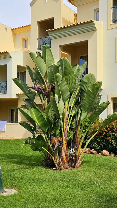 Gartenanlage AP Adriana Beach Resort