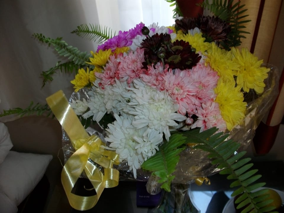 Zimmer Jaz Makadi Oasis Resort