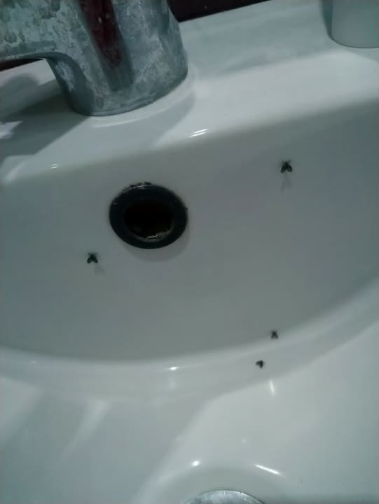 Zimmer Rachoni Bay Hotel