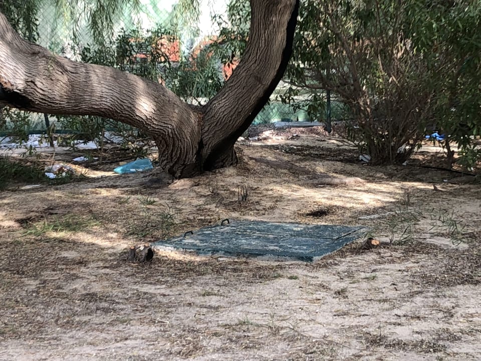 Ausblick TUI MAGIC LIFE Penelope Beach