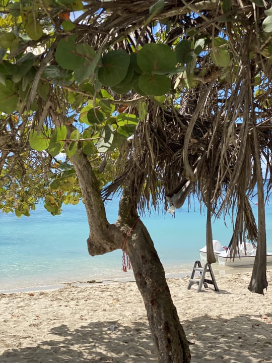 Strand Secrets La Romana Resort & Spa - Adult Only