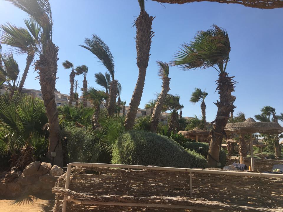 Strand Pickalbatros Citadel Resort