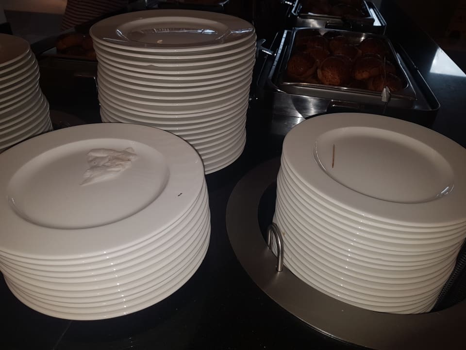 Gastro Well Palace Side