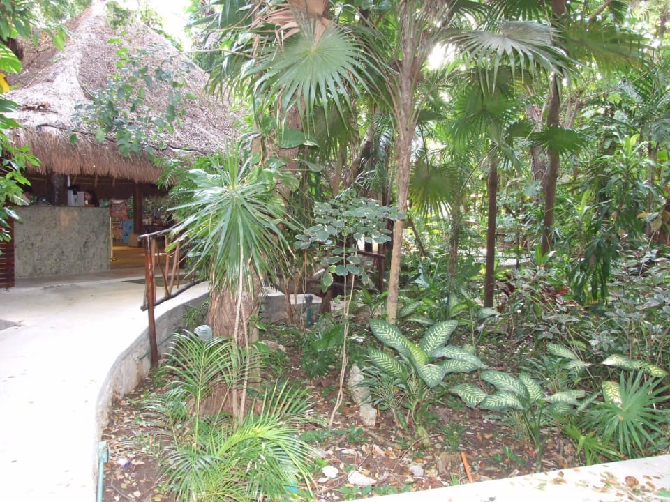 Ogród Tukan Hotel Playa del Carmen