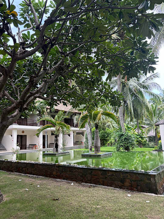 Gartenanlage Hotel Blue Ocean Resort