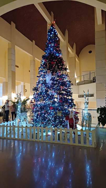 Lobby Akassia Swiss Resort