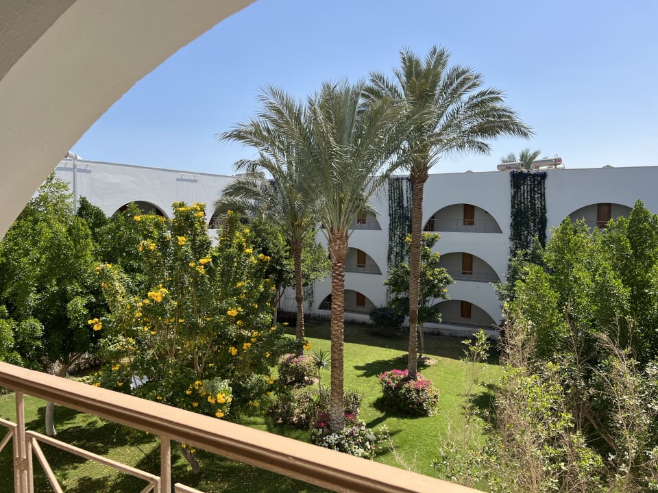 Gartenanlage Desert Rose