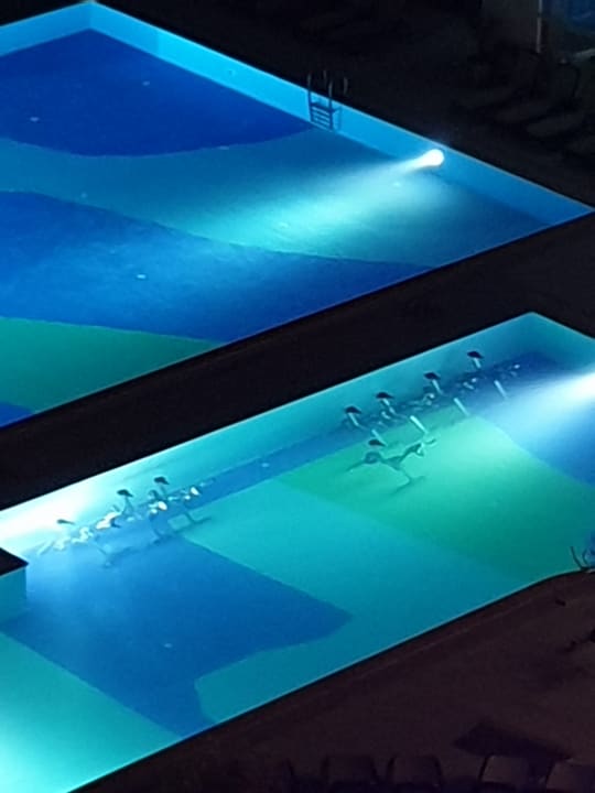 Pool Sherwood Exclusive Lara