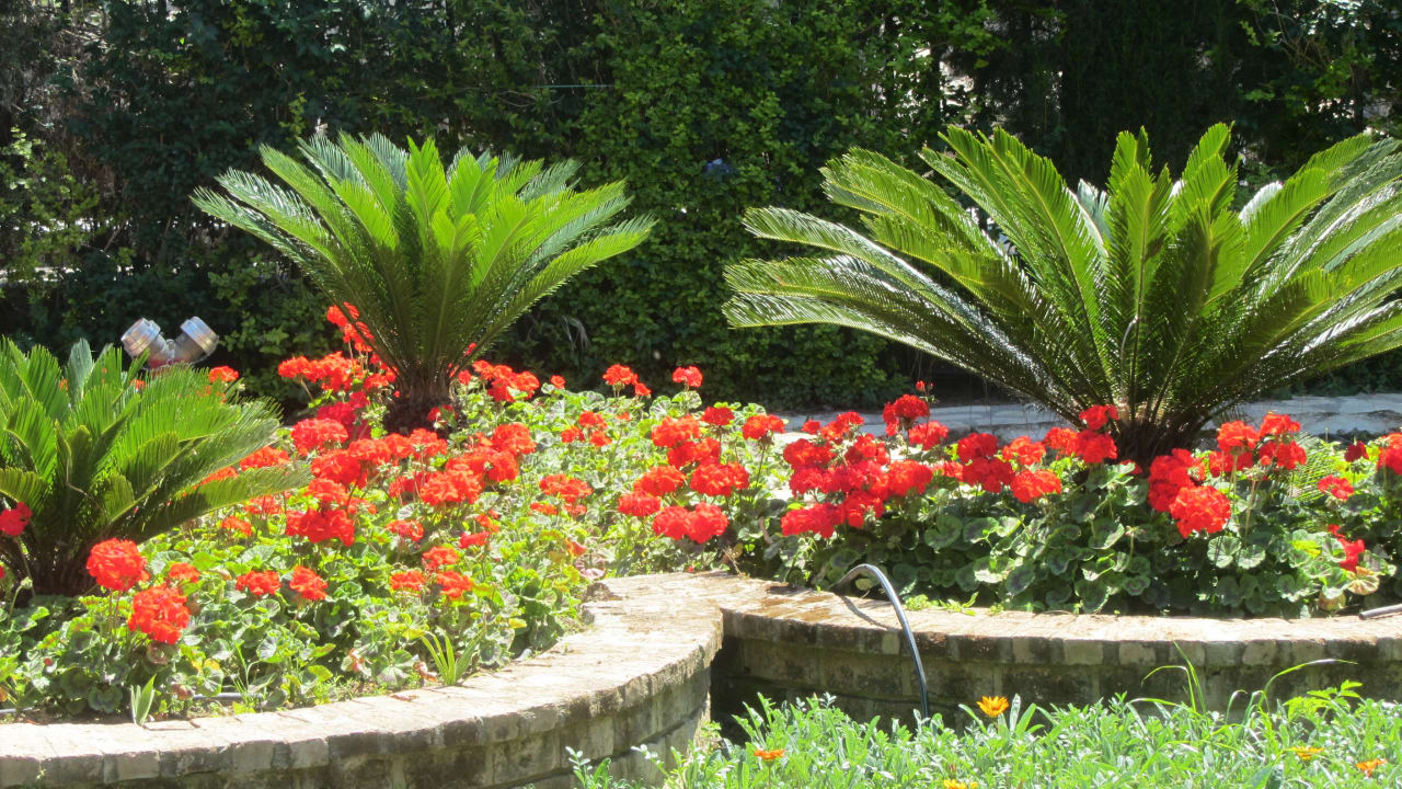 Gartenanlage Can Garden Beach