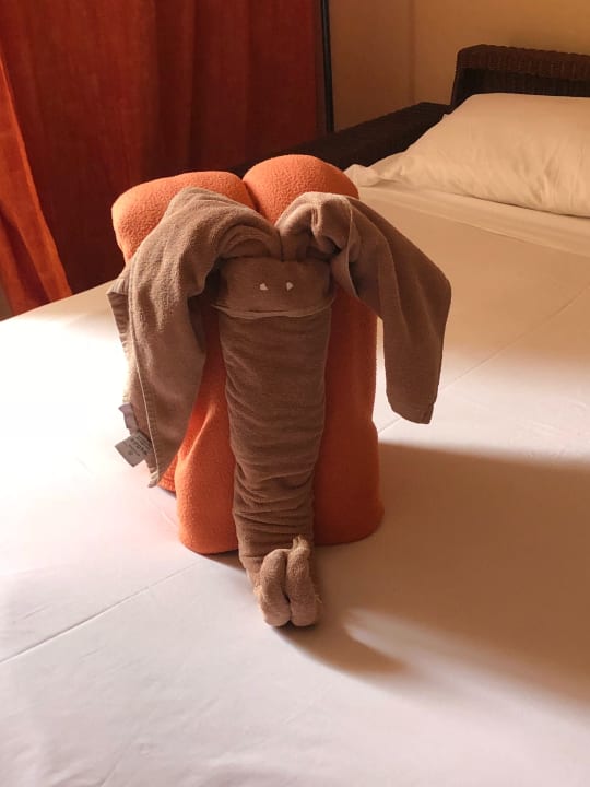 Zimmer Hotel Riu Touareg