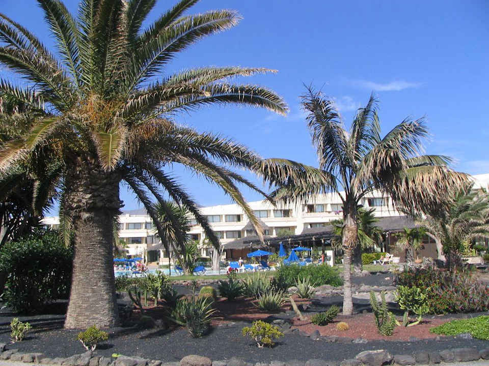 Hotel  -  Pool  -  Garten Dreams Lanzarote Playa Dorada Resort & Spa