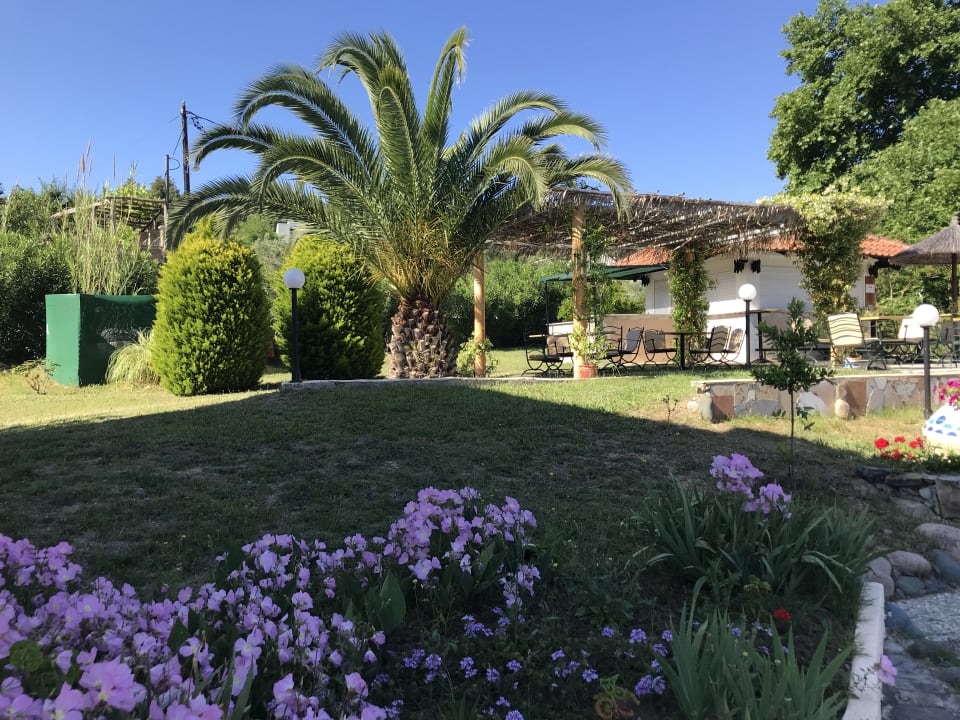 Außenansicht Hotel Chrousso Village