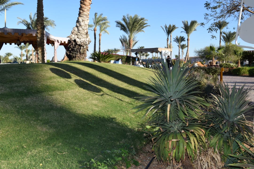 Gartenanlage Parrotel Beach Resort